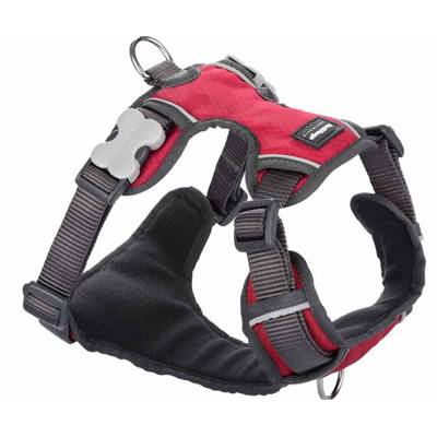 RED DINGO Padded harnais Red S 15mm, cou 30-47cm, corps 37-52cm