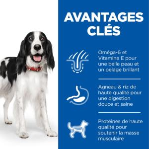 Hill's Science Plan croquettes pour Chien Adulte Medium à l'Agneau et au Riz 12kg