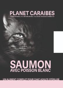 CONNOISSEUR CHAT STRILIS SAUMON ET POISSON BLANC 1,5KG