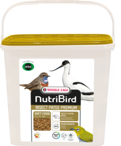 Insect Patee Premium - Min. 50% insects 2kg