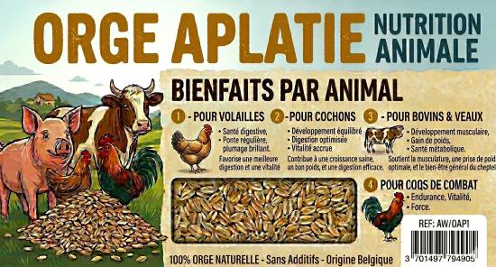 ORGE APLATI SEAU 1KG