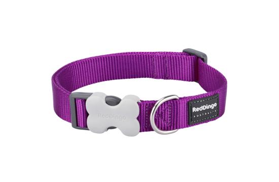 RED DINGO Dog collier unis Classic Purple XS 12mm x 20-32cm