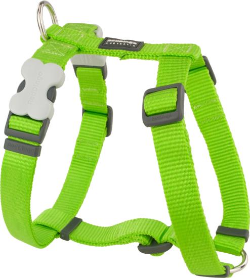 RED DINGO Dog harnais unis Classic Lime Green S 15mm, cou 30-48cm, corps 36-54cm