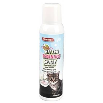 spray éducateur chaton