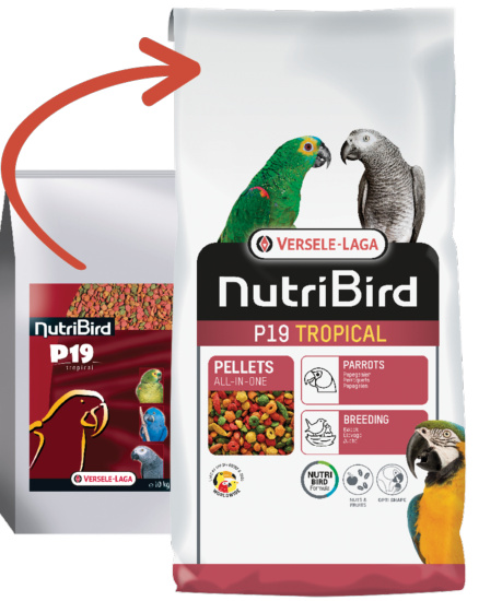 Nutribird P19 tropical 10kg