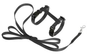 HARNAIS+LAISSE CHATON ZIGGI NOIR