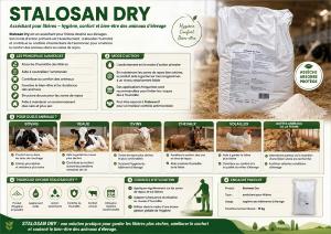 ASSECHANT LITIERE STALOSAN 15KG