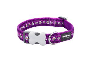 RED DINGO Dog collier Design Daisy Chain Purple S 15mm x 24-36cm