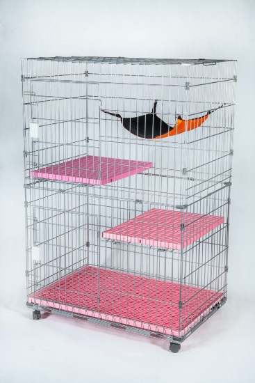 Cage Pension Chat 2 Etages Cage Pension Chat 2 Etages