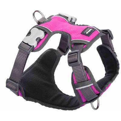 RED DINGO Padded harnais Hot Pink M 20mm, cou 38-58cm, corps 46-63cm