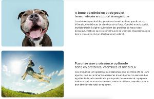 AMITY PREMIUM PUPPY 4 KG