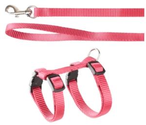 HARNAIS+LAISSE CHATON ZIGGI ROUGE