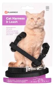 HARNAIS+LAISSE CHAT ZIGGI NOIR