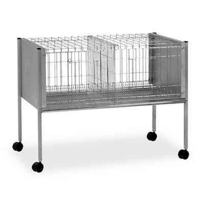 CAGE EXPOSITION P-50 1 ETAGE