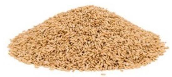 GRUAU D'AVOINE 25kg
