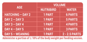 NUTRIBIRD A19 3kg