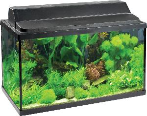 Aquarium X620 60L