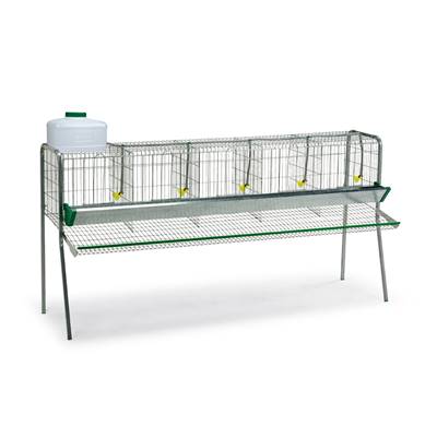 BATTERIE POULES 5 COMPARTIMENTS