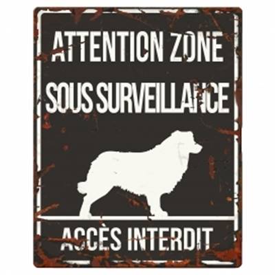 WARNING SIGN SQUARE COLLIE F noir
