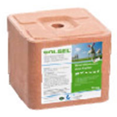 BLOC A LECHER MINERAUX 10kg