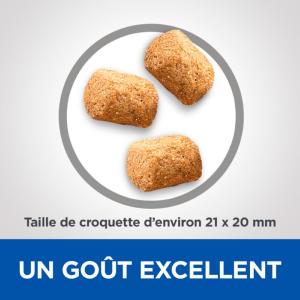 Hill's VET ESSENTIALS Adult Dental Health croquettes pour chien au poulet 10kg