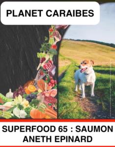 SUPERFOOD 65 : SAUMON ANETH EPINARD 12KG