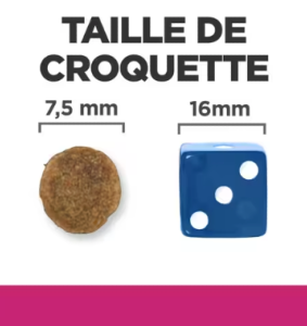 Hill's PRESCRIPTION DIET Gastrointestinal Biome Mini Croquettes pour petit Chien au Poulet 1 kg
