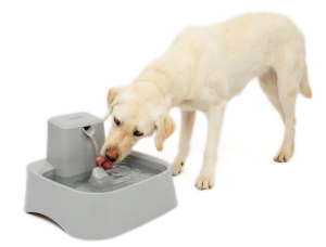 PETSAFE - FONTAINE PLASTIQUE 7.5L SANS BPA