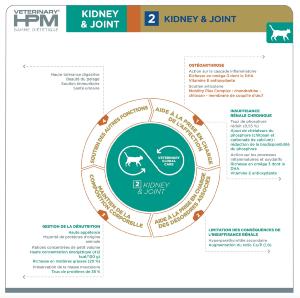 VIRBAC HPM CAT KIDNEY & JOINT 1,5kg KJ2