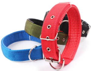 COLLIER CHIEN 2 x 50CM + MOUSSE