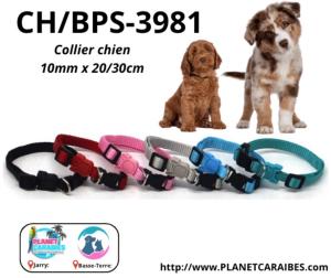 COLLIER CHIEN NYLON CLIP 10MMx20-30CM (EX CH/012010)