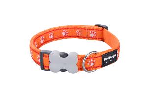 RED DINGO Dog collier Design Desert Paws S 15mm x 24-36cm