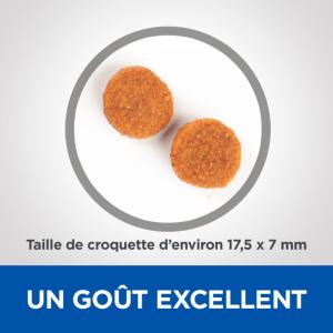 Hill's VET ESSENTIALS Adult croquettes pour grand chien à l'agneau & au riz 16kg