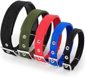 COLLIER CHIEN 2 x 50CM + MOUSSE