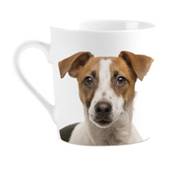 Mug I love Jack Russells
