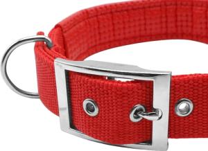 COLLIER CHIEN 2 x 50CM + MOUSSE