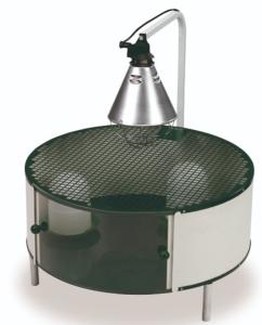 CAGE LEVEUSE POUSSINS RONDE