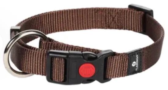 Chien Collier Ziggi Brun S 30-45cm + sécurité-lock 