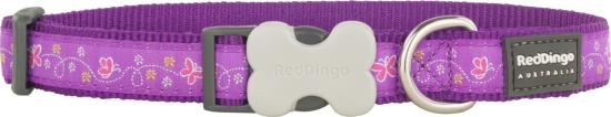 RED DINGO Dog collier Design Butterfly Purple M 20mm x 31-47cm