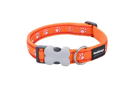 RED DINGO Dog collier Desert Paws Orange XS 12mm x 20-32cm