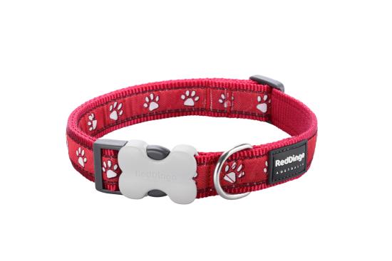 RED DINGO Dog collier Design Desert Paws Red S 15mm x 24-36cm