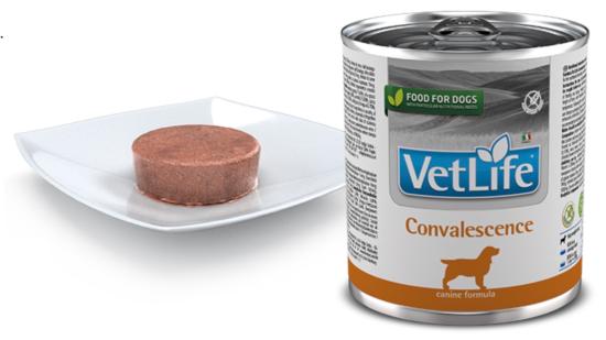 VET LIFE NATURAL DIET CHIEN CONVALESCENCE 300 GR