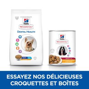Hill's VET ESSENTIALS Mature Dental Health croquettes pour petit chien âgé au poulet 2kg