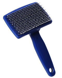 BROSSE CARDE 15,5x9cm