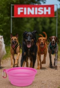 BOL PLIABLE 650 ML 16*6 CM ROSE