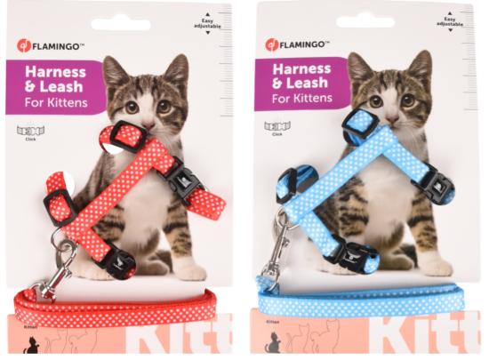 HARNAIS+LAISSE CHATON AIWA MIX COULEUR 1PC