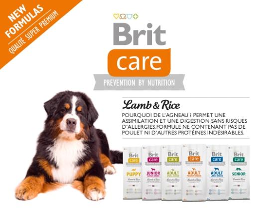 BRIT CARE