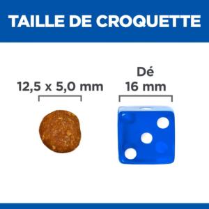 Hill's Vet Essentials Healthy Digestive Biome croquettes pour chien 10kg