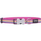 RED DINGO Dog collier Design Horizontal Stripes Hot Pink S 15mm x 24-36cm