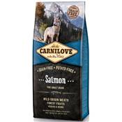 CARNILOVE SALMON ADULT 12kg